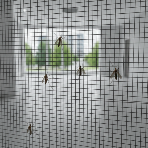 Mosquito Safety Nets